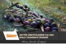 GÜNEŞ MANŞET