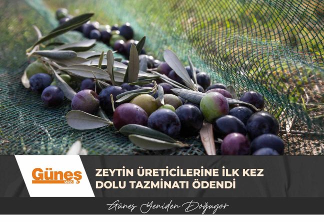 GÜNEŞ MANŞET