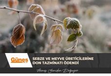 GÜNEŞ MANŞET