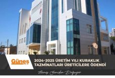 GÜNEŞ MANŞET