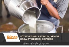GÜNEŞ MANŞET