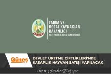 GÜNEŞ MANŞET