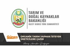 GÜNEŞ MANŞET