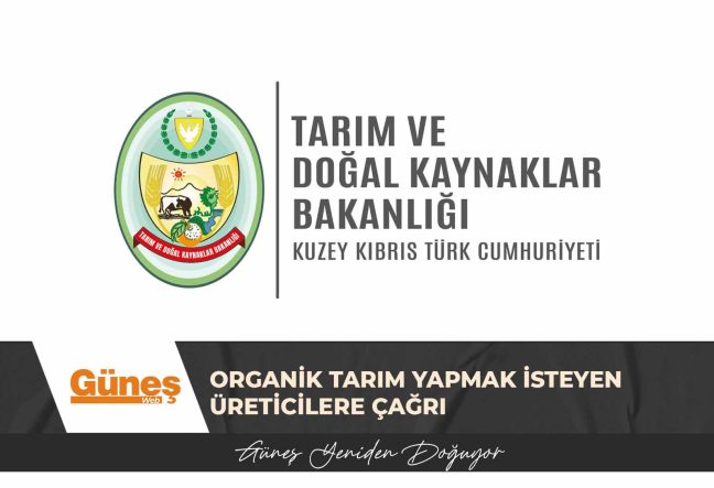 GÜNEŞ MANŞET