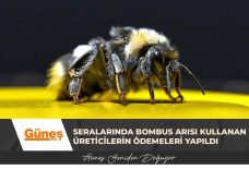 GÜNEŞ MANŞET