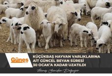 GÜNEŞ MANŞET