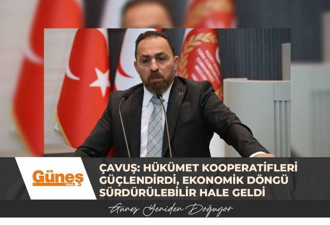 HÜKÜMET KOOPERATİFLERİ GÜÇLENDİRDİ, EKONOMİK DÖNGÜ SÜRDÜRÜLEBİLİR HALE GELDİ