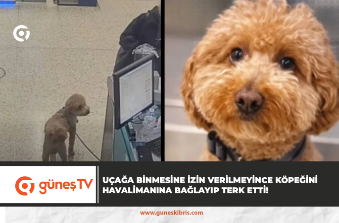 Uçağa binmesine izin verilmeyince köpeğini havalimanına bağlayıp terk etti!