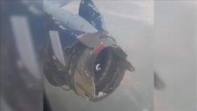 thumbs_b_c_b1f31c6452e0d743528c34a53684a2e3