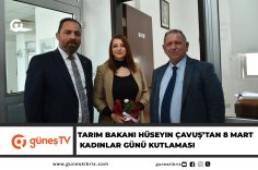 Manşet-1
