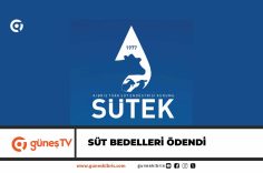 Manşet