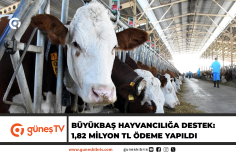 Manşet