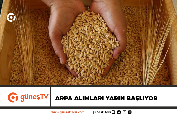 ARPA ALIMLARI YARIN BAŞLIYOR