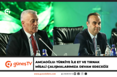 Manşet