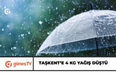 Manşet