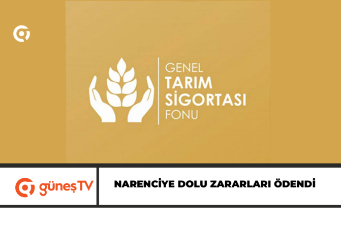 Narenciye dolu zararları ödendi
