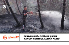 güneş-Manşet