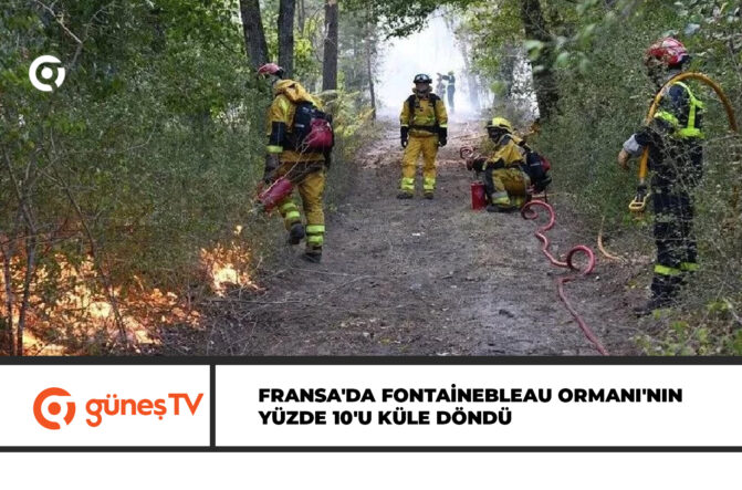Fransa’da Fontainebleau Ormanı’nın yüzde 10’u küle döndü