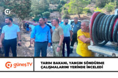 güneş-Manşet