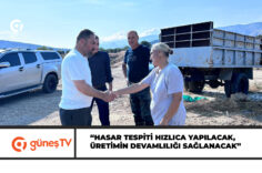 güneş-Manşet