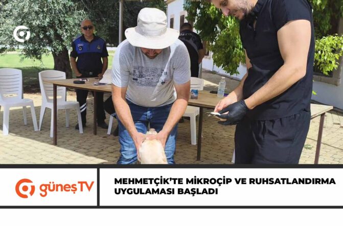 Mans╠ğet copy