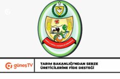Güneş Manşet
