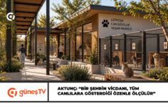 güneş-Manşet